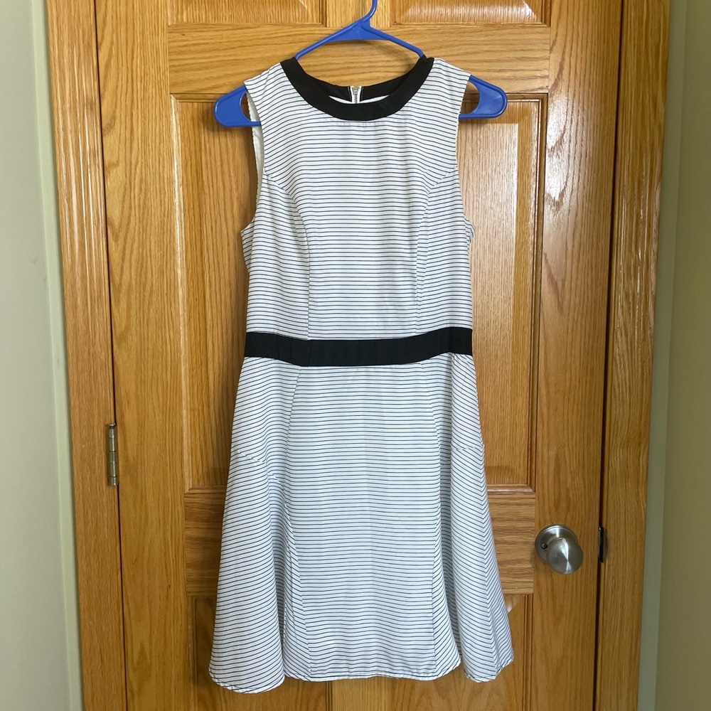 Black and white stripe dress